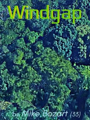 cover image of Windgap